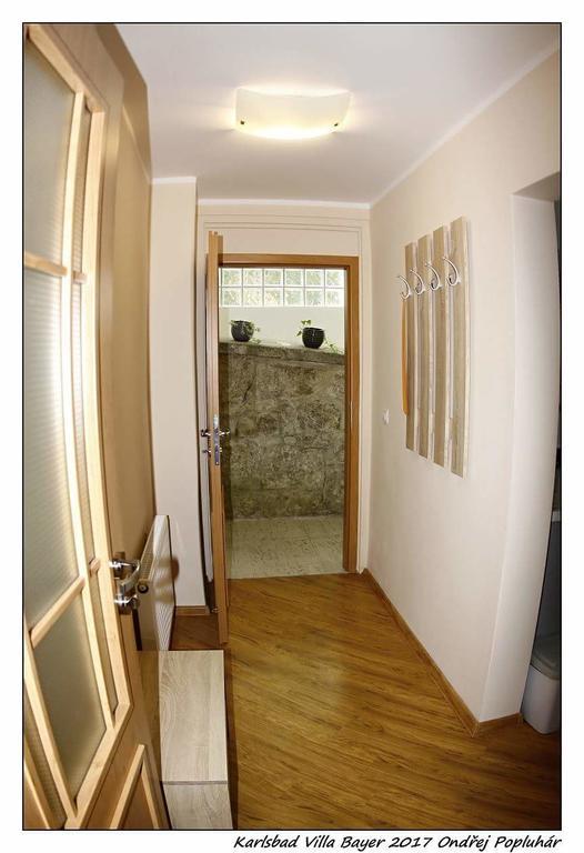 Appartamento Apartmán Vila Bayer Karlovy Vary Esterno foto